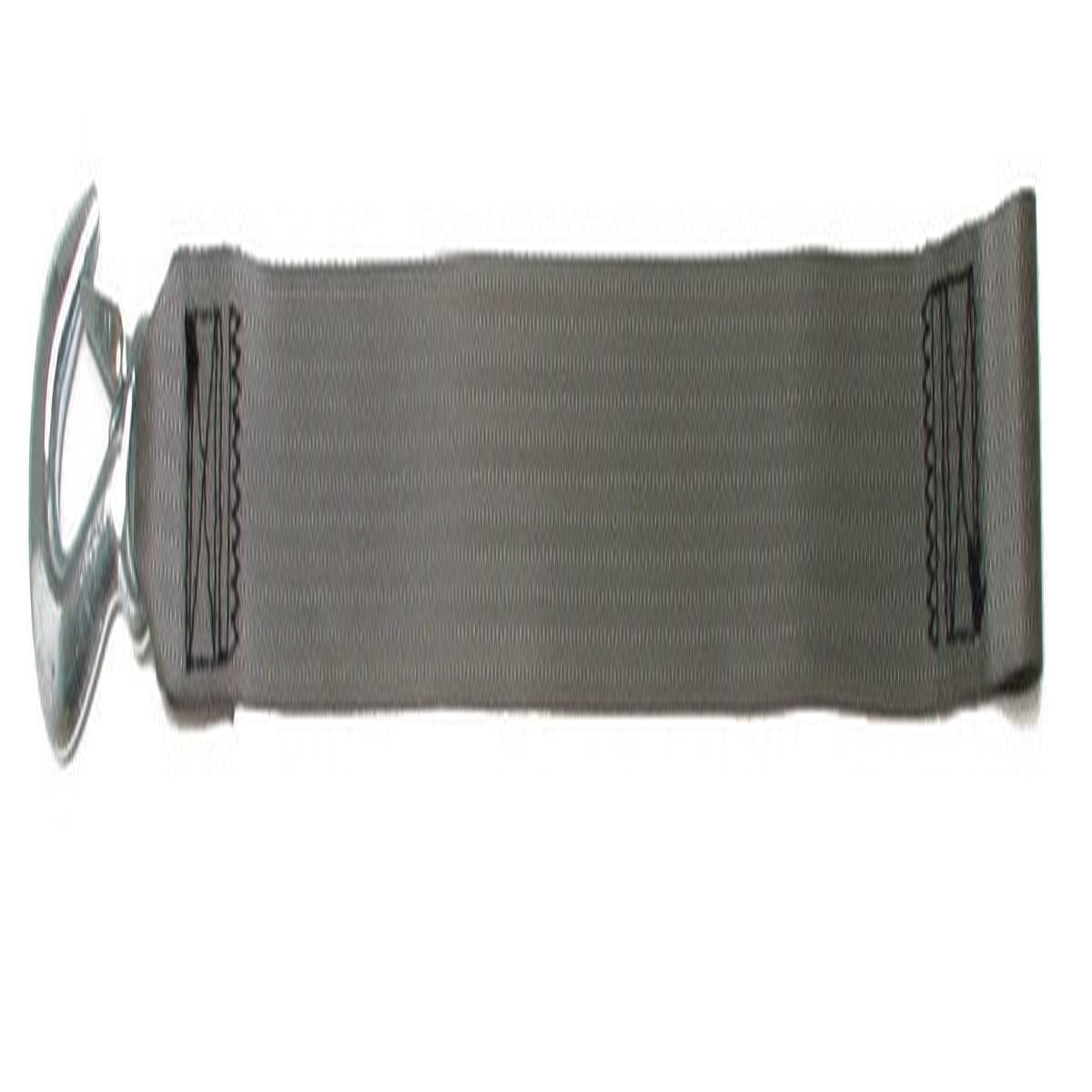BoatBuckle Winch Strap with Loop End, Gray, 2-Inch x 15-Feet