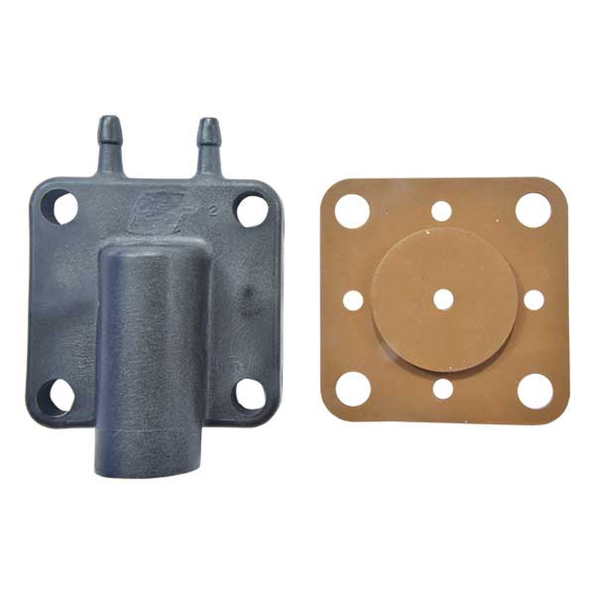Cover & Gasket Assembly