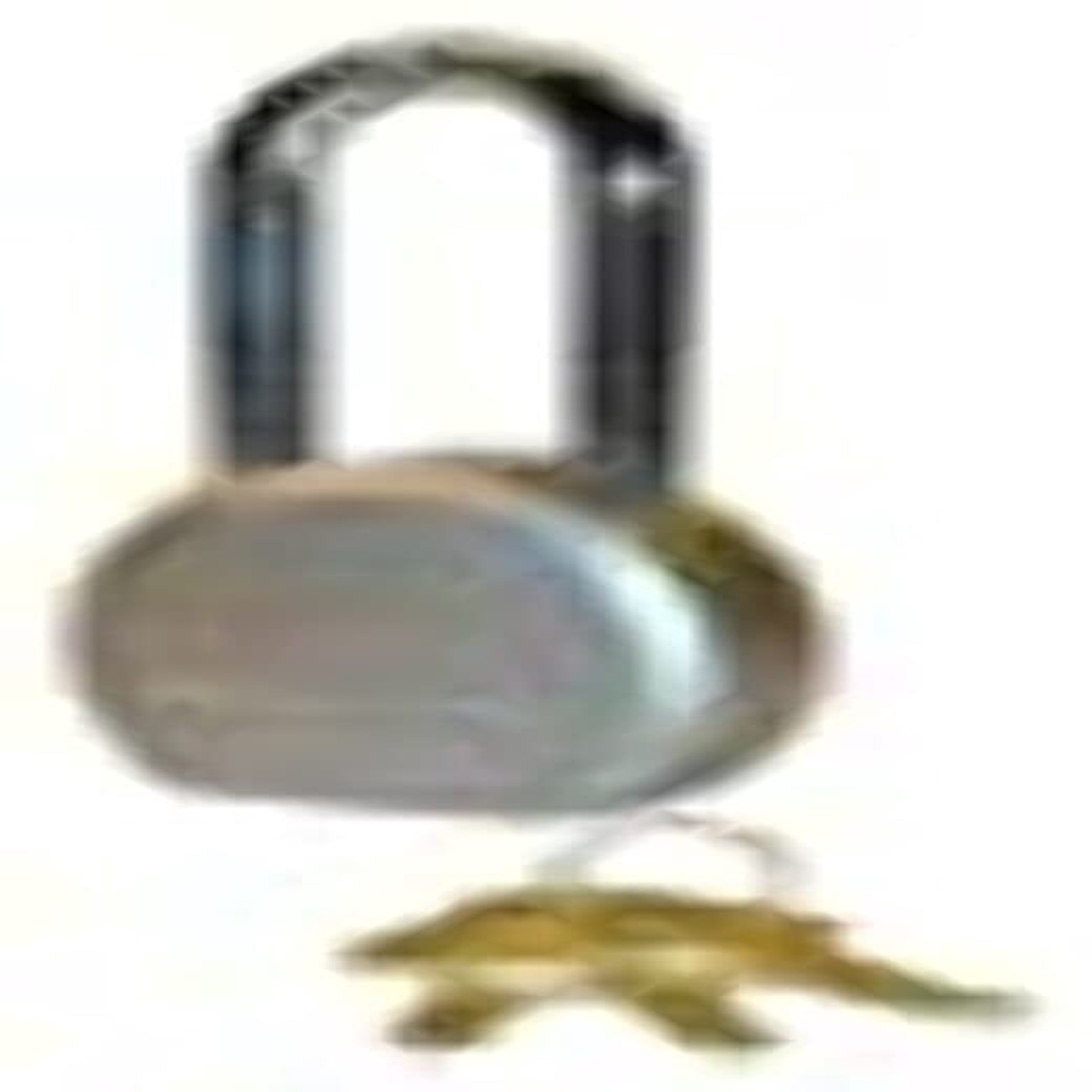 Trimax 64MM Steel Padlock