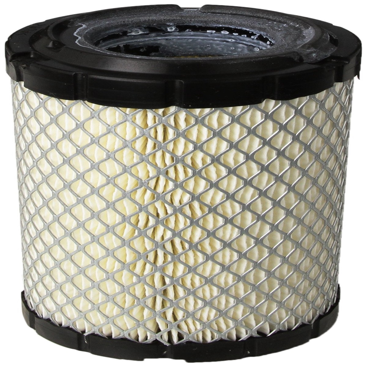 CUMMINS NW Cummins (1403071) 10/12 kW Quiet Diesel Air Filter