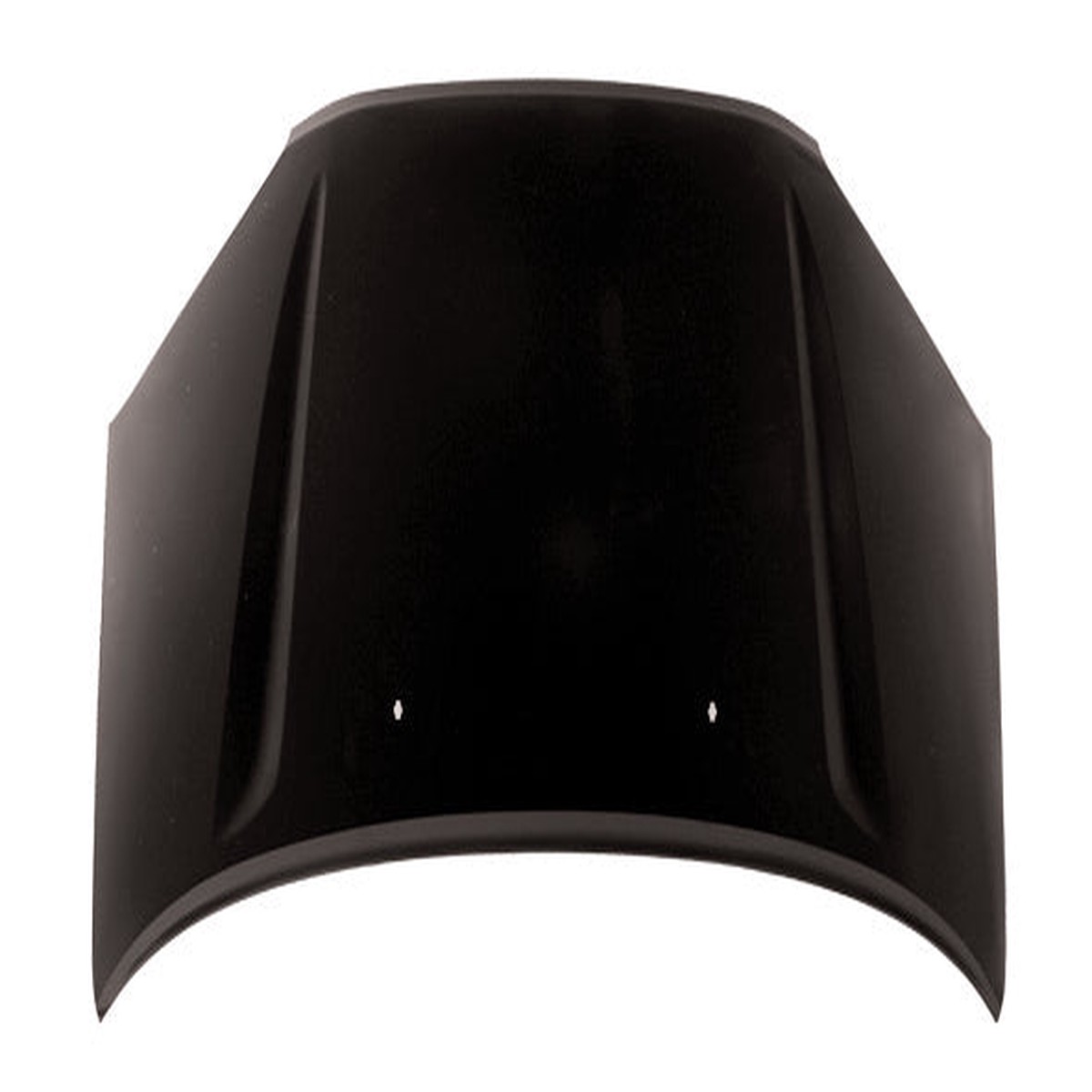 TechPro TO1230188C Hood Panel Assembly